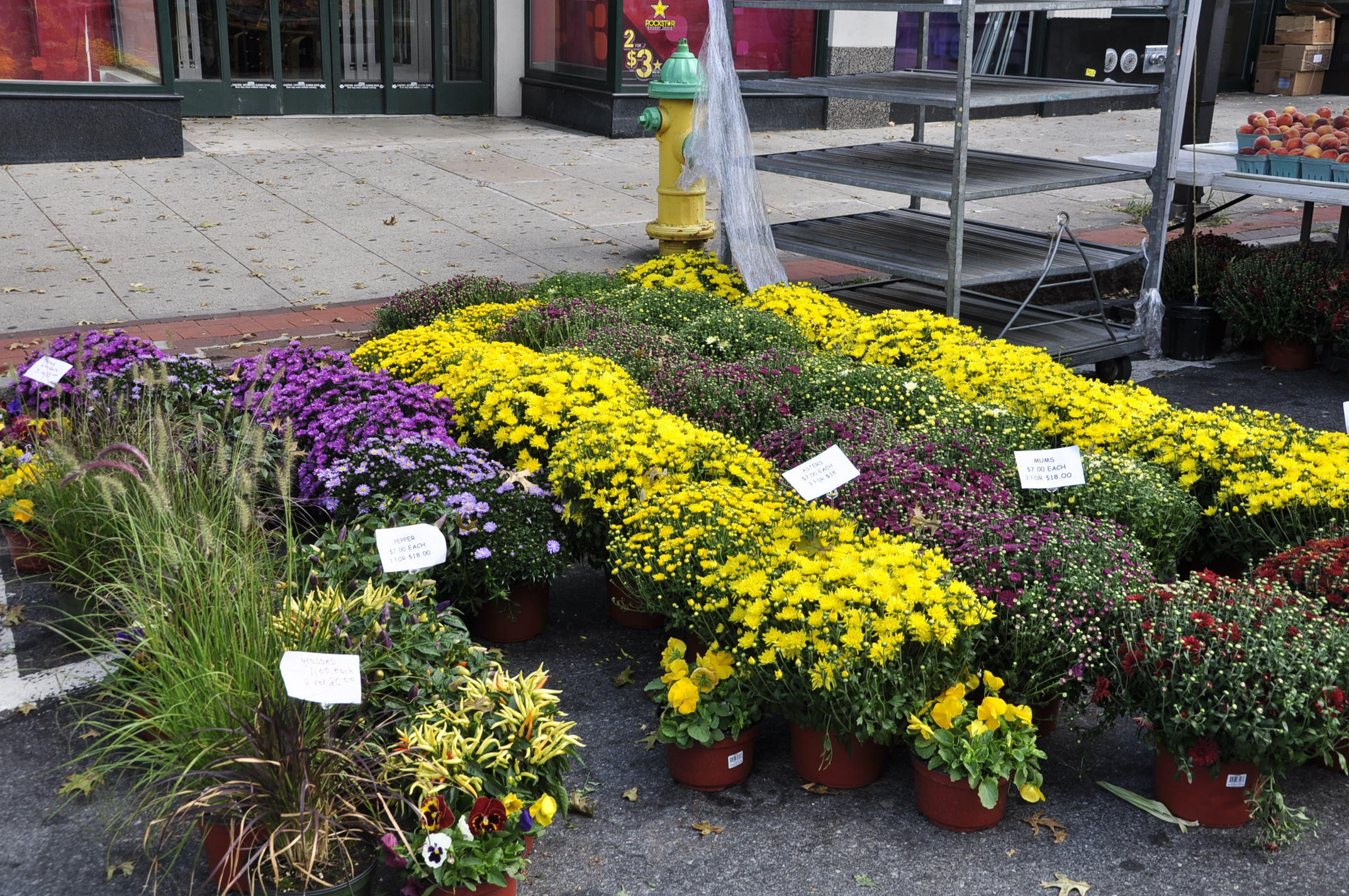 , farmers market, 022